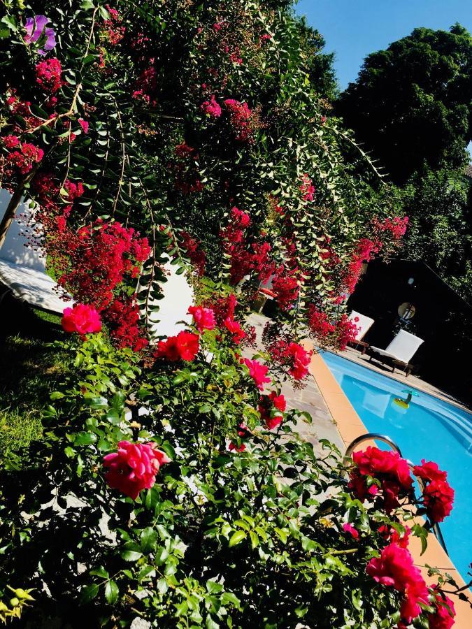 Rossella Villarella Dei Tulipani Bed and breakfast