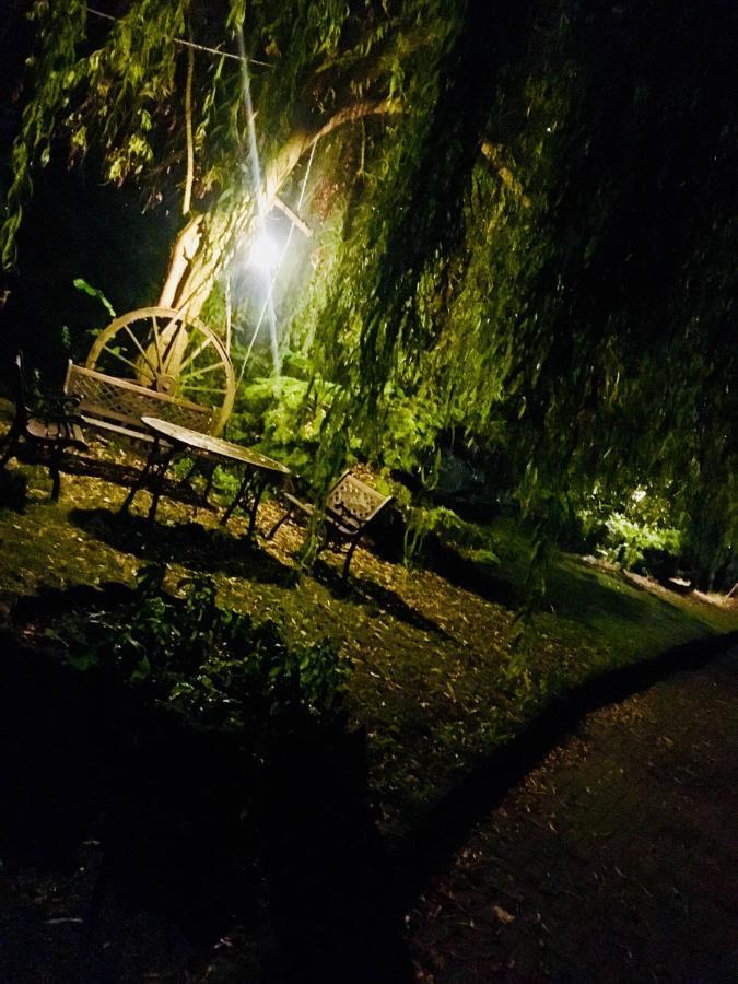 Bed and breakfast Rossella Villarella Dei Tulipani Asti